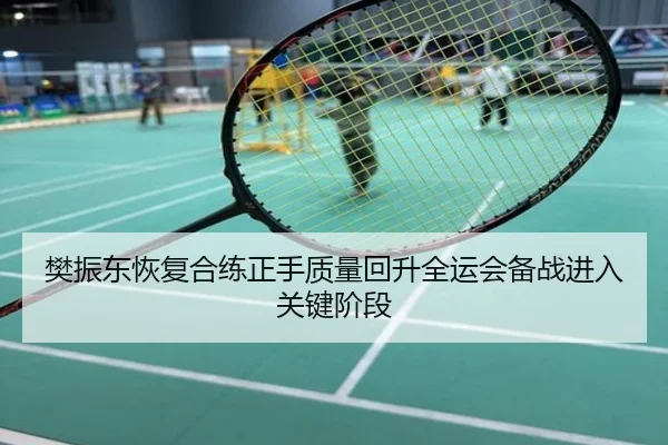 樊振东恢复合练正手质量回升全运会备战进入关键阶段