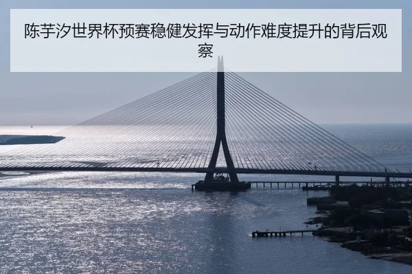 陈芋汐世界杯预赛稳健发挥与动作难度提升的背后观察
